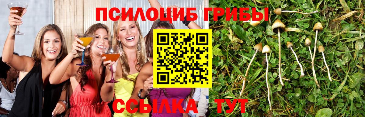 Галлюциногенные грибы GOLDEN TEACHER Кириши